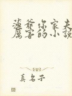 薄爷你家夫人超厉害的小说封面