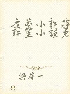 夜梦小许蒋书庭许笙小说免费阅读