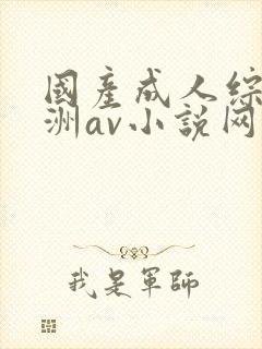 国产成人综合亚洲av小说网站