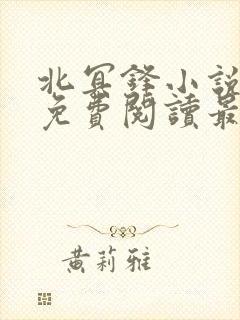 北冥锋小说全文免费阅读最新章节