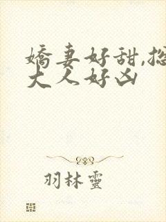 娇妻好甜,总裁大人好凶