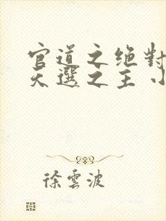 官道之绝对权力天选之主 小说阅读