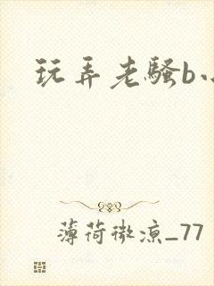 玩弄老骚b小说