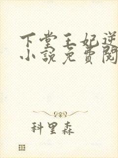 下堂王妃逆袭记小说免费阅读全文封面