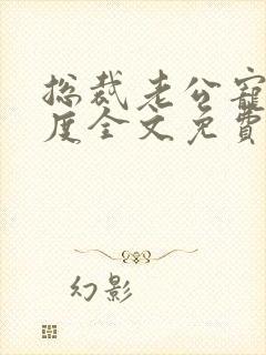 总裁老公宠妻无度全文免费阅读封面