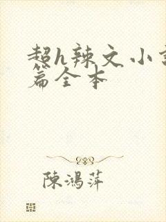 超h辣文小说长篇全本