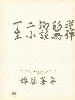 丁二狗的逆袭人生小说无弹窗