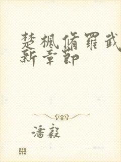 楚枫修罗武神全新章节