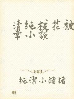 清纯校花被炒日常小说