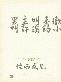 男主叫秦彻女主叫许瑶的小说