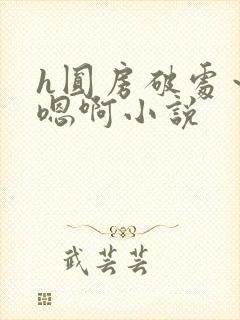 h圆房破处～h嗯啊小说