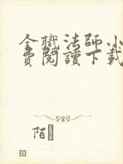 全职法师小说免费阅读下载txt