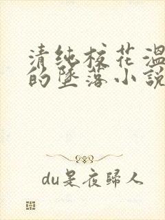 清纯校花温月儿的坠落小说封面