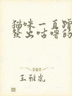 猫咪一直蹭我还发出咕噜的声音封面