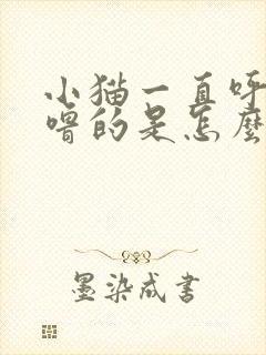 小猫一直呼噜呼噜的是怎么回事封面