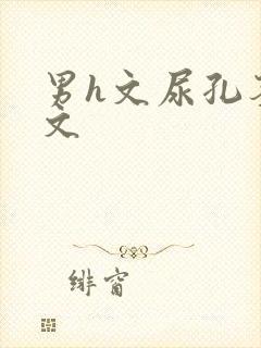 男h文尿孔茎交文