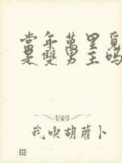 当年万里觅封侯是双男主吗