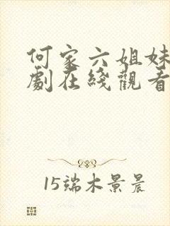 何家六姐妹电视剧在线观看全集免费播放