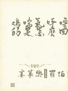 鸡喘气呼噜呼噜的是怎么回事