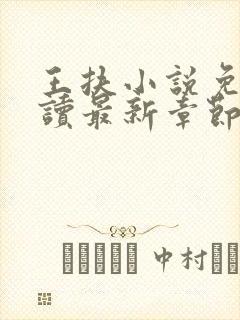 王扶小说免费阅读最新章节无弹窗