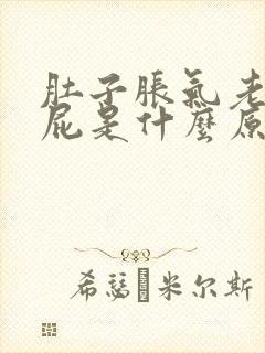 肚子胀气老爱放屁是什么原因