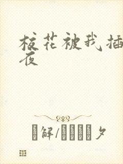 校花被我插了一夜封面