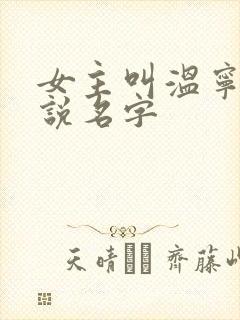女主叫温宁的小说名字