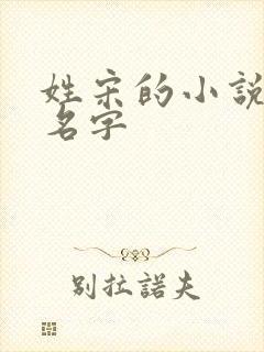 姓宋的小说女主名字