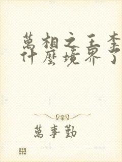 万相之王李洛到什么境界了