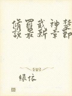 修罗武神楚枫小说最新章节列表最