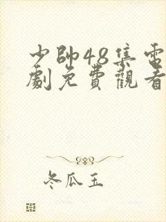 少帅48集电视剧免费观看策驰