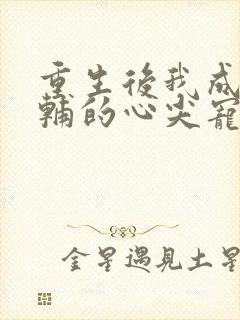 重生后我成了首辅的心尖宠