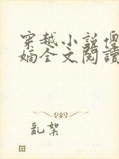 穿越小说傻王夺嫡全文阅读