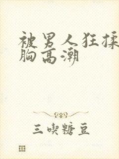 被男人狂揉吃奶胸高潮封面