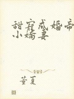 甜宠成婚帝少的小娇妻