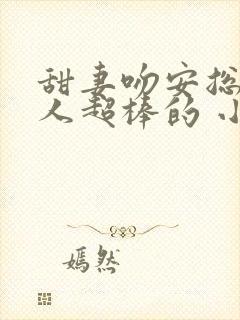 甜妻吻安总裁大人超棒的 小说封面