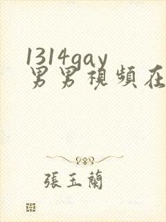 1314gay男男视频在线观看