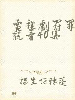 电视剧罚罪免费观看40集