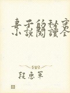 妻子的秘密吴双小说阅读全文封面