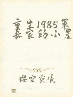 重生1985军长家的小农媳免费阅读封面