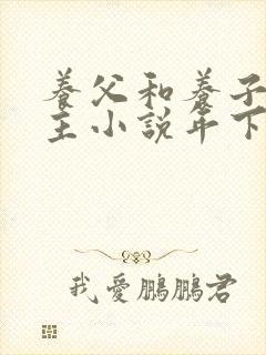 养父和养子双男主小说年下