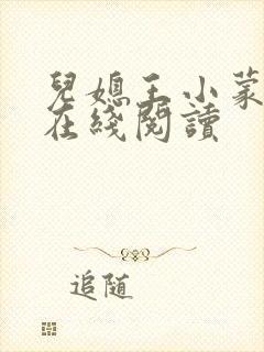 儿媳王小蒙小说在线阅读