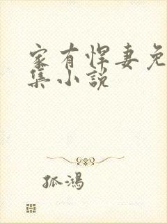 家有悍妻免费全集小说