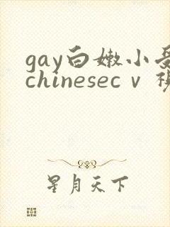 gay白嫩小受chinesecⅴ视频