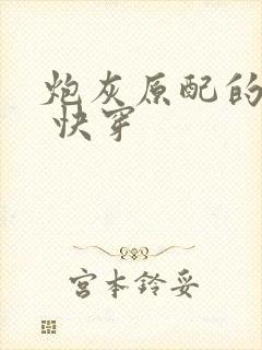 炮灰原配的人生 快穿