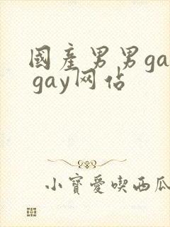 国产男男gay gay网站