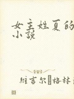 女主姓夏的总裁小说