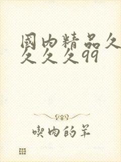 国内精品久久久久久久99