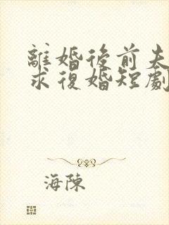 离婚后前夫哭着求复婚短剧演员表