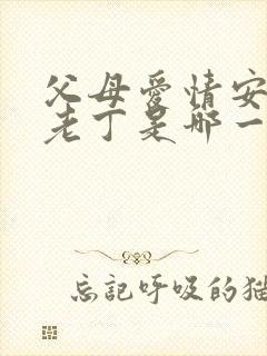 父母爱情安杰骂老丁是哪一集封面